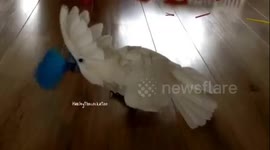 Knock knock who is there..??