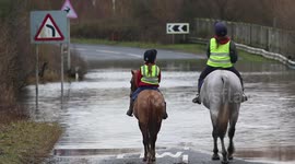 Horses Tackle Flooded Road At Fairburn 