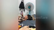 temp
