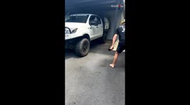 Frightful snake make its way and hides in a car when a couple try to get it away from them