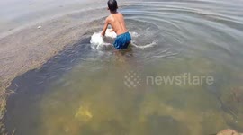 underwater fishes playing in river and boys swing river in India