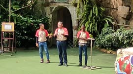 These parrots can sing birthday song very well