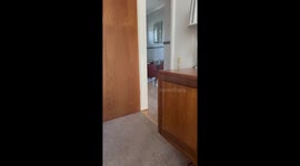 Mother surprises her only child with a cute little cuddlesome dog