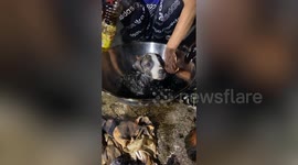 Puppy covered in molten rubber is rescued, cleaned and adopted