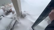 temp