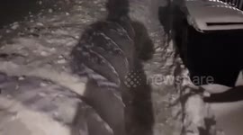 Streets covered with thick layer of snow in Howard, USA