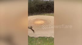 Giant foaming 'sinkhole' has appeared on rugby pitch where HS2 is being built