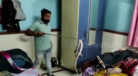 Snake rescued from popular temple in central India