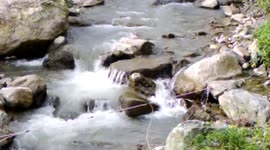Slow motion video of a small water stream near godawari area of Nepal