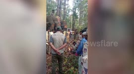 Elephant which claimed lives of two people in southern India, captured