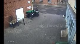 This is the moment a dog runs from it's owner while tied to a BENCH