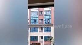 Children seen running along window ledge on 28th floor of building in China