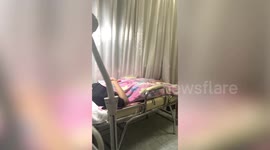 Adorable pet cat sleeps on customer's leg while having beauty treatment