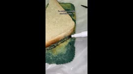Woman leaves TikTok users 'disgusted' creating hyper-realistic mouldy bread, raw chicken and slugs out of CAKE Part 1