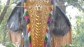 Indian temple receives robot elephant from PETA after pledging to never keep animals for rituals