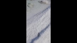 Salt pearls - in the Dead Sea, the phenomenon occurs mainly in the south of the Dead Sea.  Probably dust wrapped in salt, I still don't know exactly how the phenomenon occurs