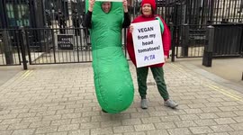 PETA activists dressed as tomato and cucumber dance outside Downing Street in response to vegetable shortage