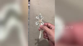 Pet cats pranked with stick-on lizard attached to wall