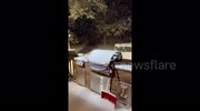 temp
