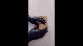 Gender reveal ideas for cupcakes, cookies or even cakes! All events and parties!