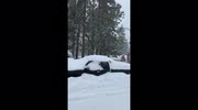 temp