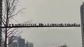 You'll definitely be caught speeding at this junction with almost 80 cameras in China