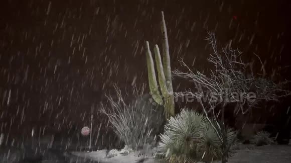 Rare snow falls in North Scottsdale as a cold winter storm moves through Arizona.