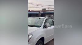 Pet cat refuses to leave moving car's roof