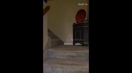 *Wholesome Video* Sweet boy warmly hugs his Godmother during her unexpected visit