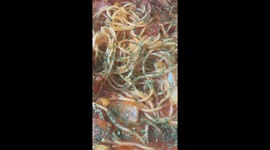 Spaghetti cooked at home in Korea