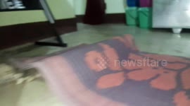 Two cute kitten play on Traditional Jute Chatai Mat in India . FUNNY KITTEN