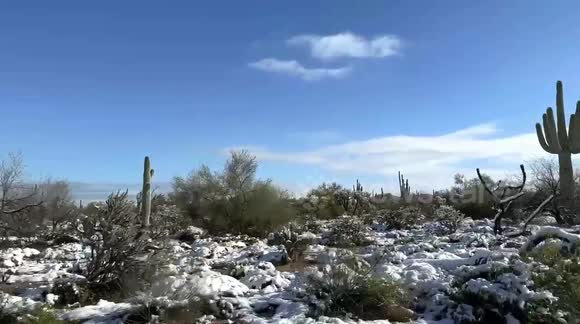 Winter storm brings rare snowfall to Arizona desert, US