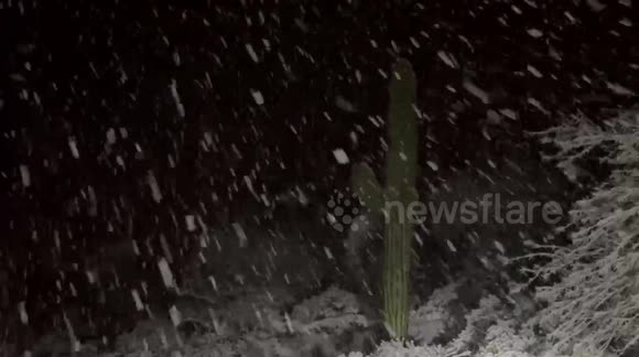 Heavy snow falling in Scottsdale, Arizona