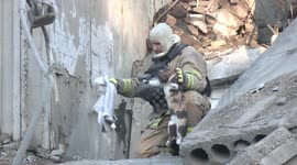 Three cats rescued from rubble of destroyed block in Zaporizhzhia, Ukraine