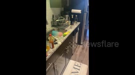 'Bath and prosecco with a strawberry': Florida woman discovers 'homeless' break-in suspect in apartment using every amenity and calls police