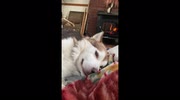 temp