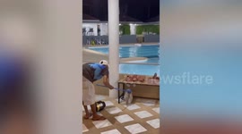 Wild cobra caught next to gym pool in Thailand