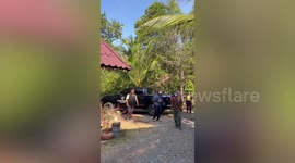 Pet cat rescued after staying up tall tree overnight