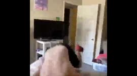 Father and son funny wrestling moments define everything. Including the mom too