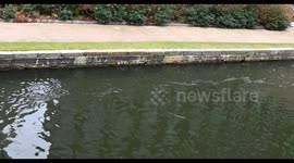 Blue Canal Boat Going Past On The Regents Canal, London, United Kingdom
