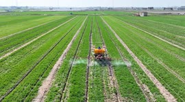 A Pesticide Spray Machine Works in A Wheat Field in Xinghua, China
