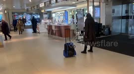 Woman brings cat for a walk in John Lewis Oxford Street London