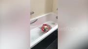 temp