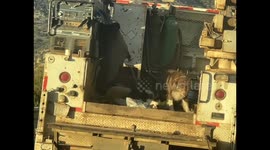 Two dogs in danger of falling while riding in the back of a cargo truck at sunset in the Sierra de Cananea Sonora Mexico