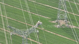 An Oriental White Stork Couple Incubates Eggs In Suqian, China