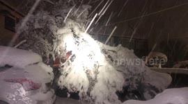 Trees bent double and power lines thick with ice as arctic blast dumps snow on Sheffield, England