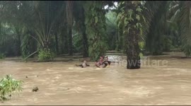 Police form human chain to rescue child swept away by floodwater in Indonesia