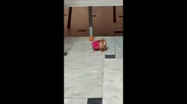 Cute chick nuzzling up to her brother and sleeping under his wing