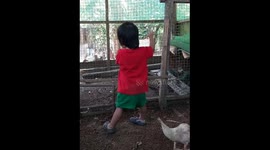 Toddler and Ducks