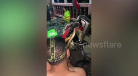 Driver dismantles scooter to save kitten stuck headlights